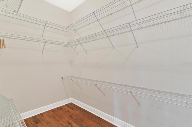 spacious closet featuring wood-type flooring