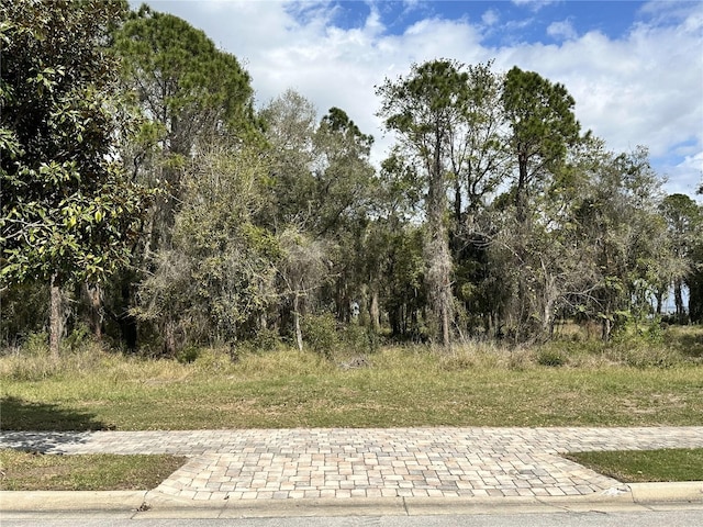 Listing photo 3 for 17233 Etruscan Ln, Bella Collina FL 34756