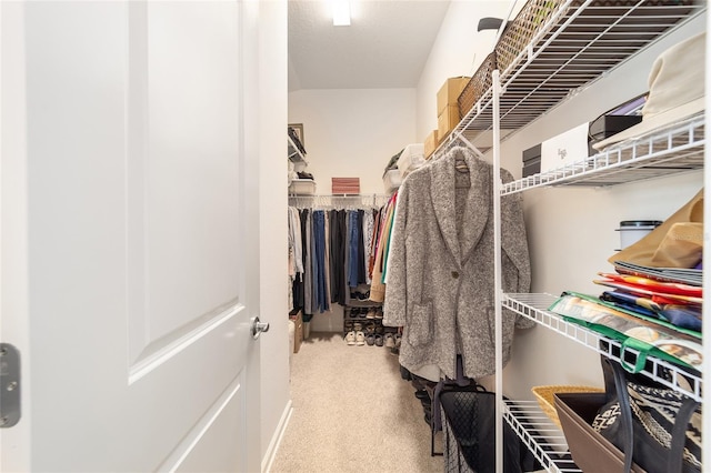 spacious closet featuring carpet flooring