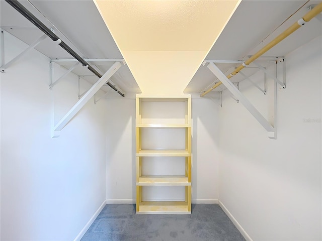 spacious closet with carpet