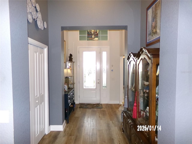 entrance foyer featuring dark hardwood / wood-style floors