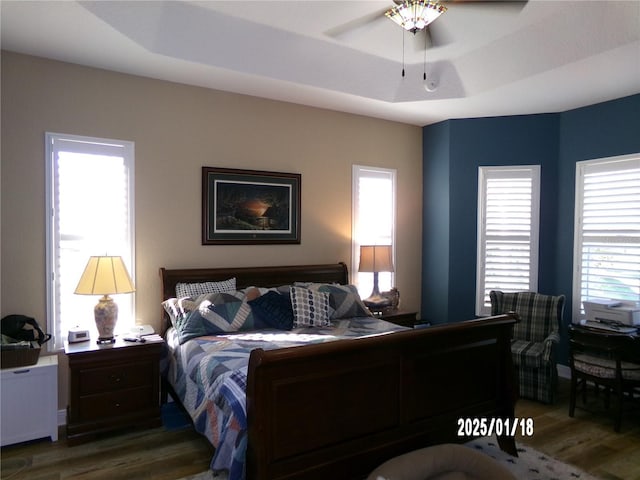 bedroom featuring a tray ceiling and dark hardwood / wood-style floors