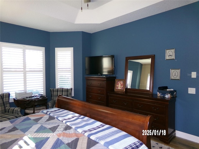 bedroom with hardwood / wood-style floors