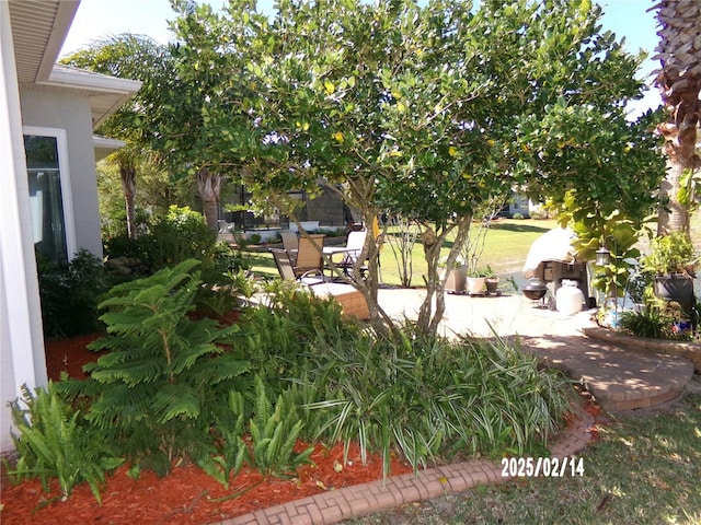 10173 Julia Isles Ave, Oxford, FL 34484 - view of yard with a patio
