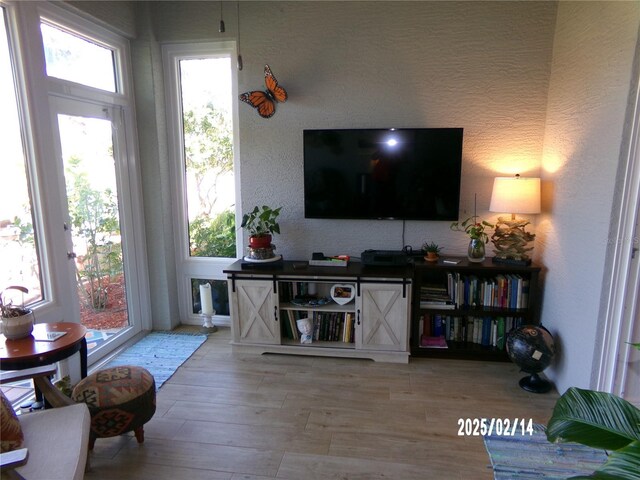 10173 Julia Isles Ave, Oxford, FL 34484 - living room featuring wood finished floors and a textured wall