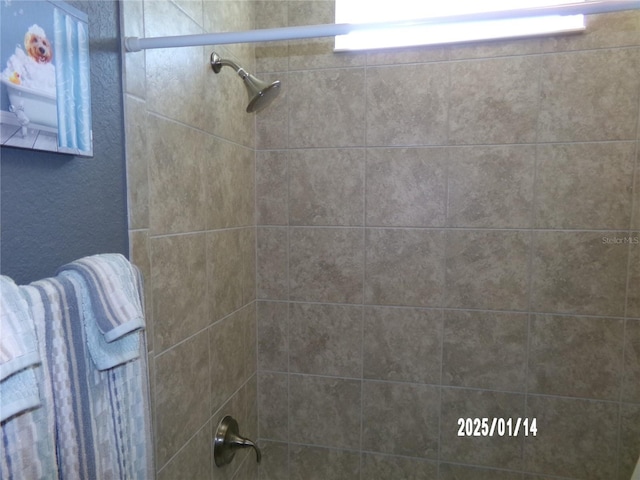 10173 Julia Isles Ave, Oxford, FL 34484 - view of full bathroom
