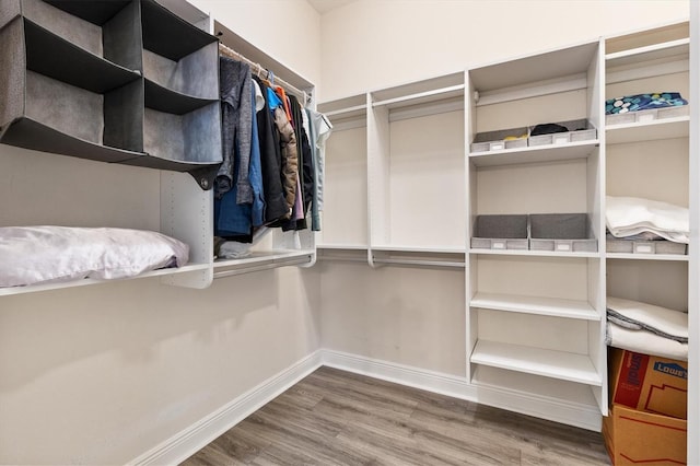 walk in closet with wood finished floors