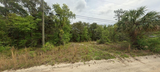 Riverside Trl, Satsuma FL, 32189 land for sale