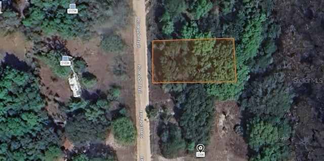 Riverside Trl, Satsuma, FL 32189 - photo 5