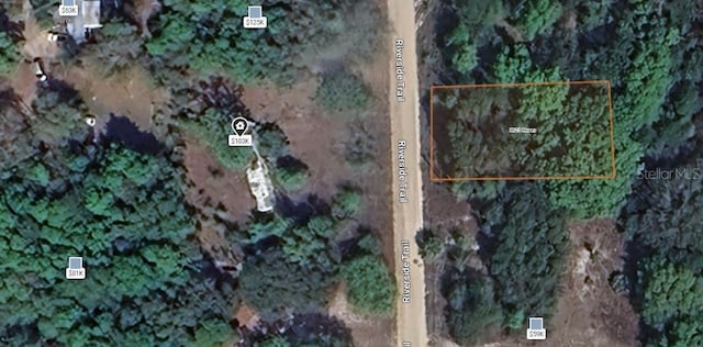 Riverside Trl, Satsuma, FL 32189 - photo 9