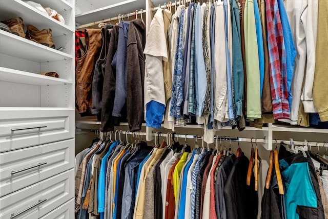 view of walk in closet