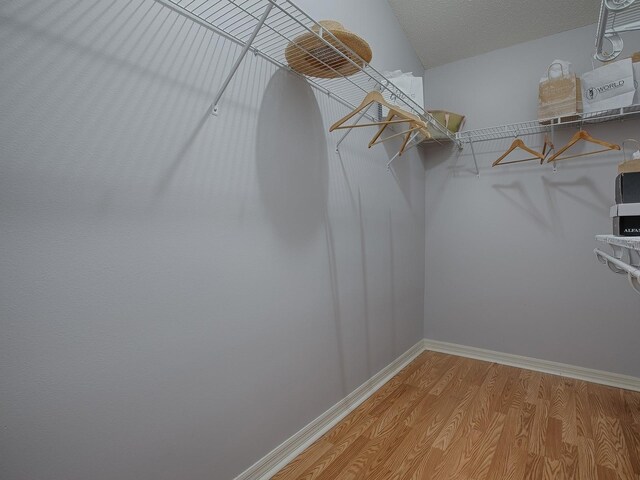 591 Statesburg St, The Villages, FL 32162 - spacious closet featuring light wood-type flooring