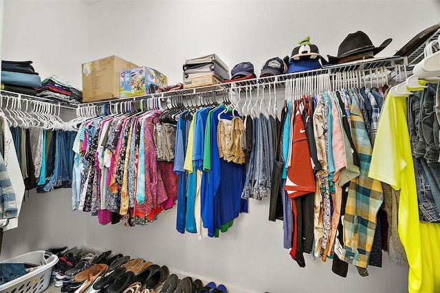 view of spacious closet