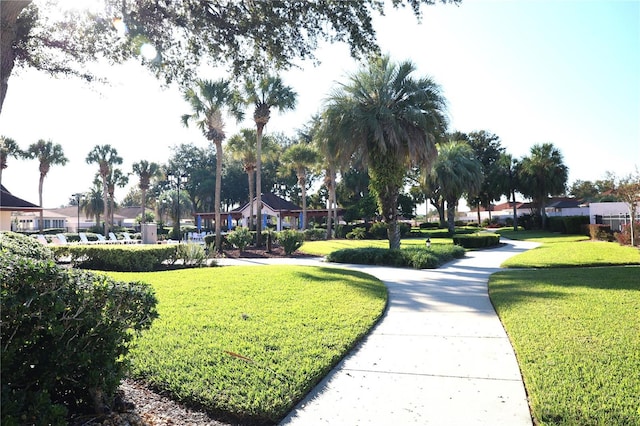 view of community featuring a lawn