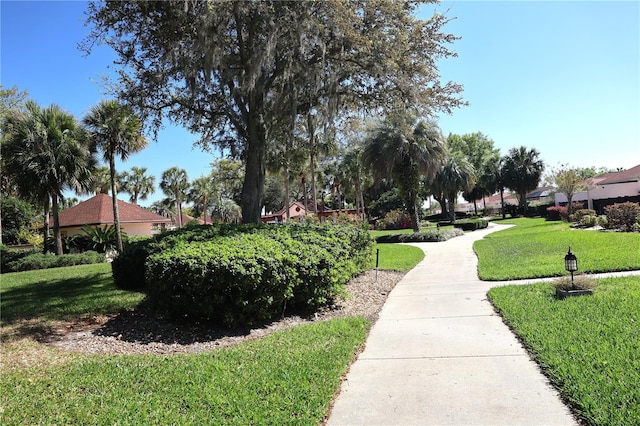 view of property's community featuring a yard