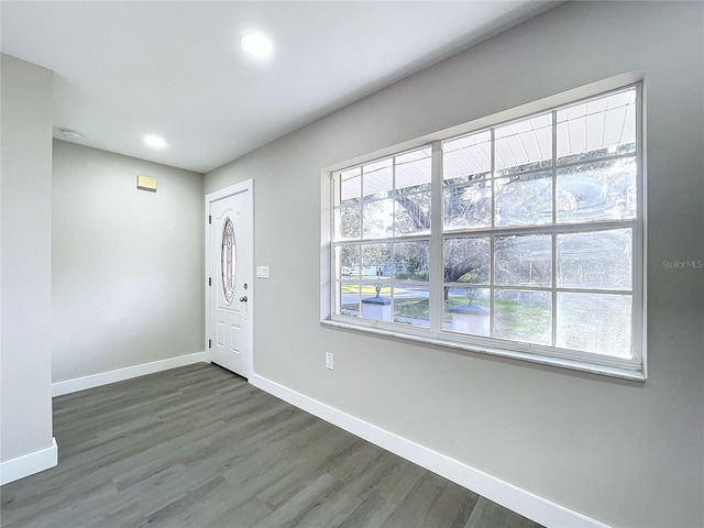 entryway featuring dark hardwood / wood-style flooring