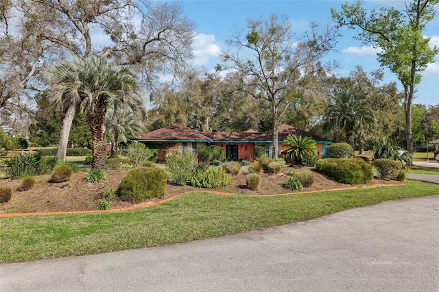 view of front of property featuring a front yard