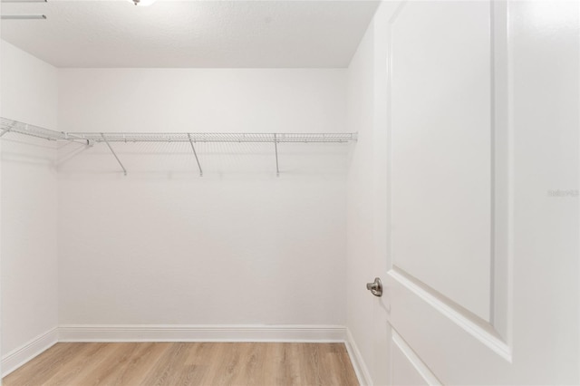 spacious closet featuring wood finished floors