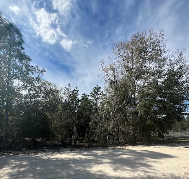 Listing photo 2 for 0 TBD NE 141st Ter, Williston FL 32696