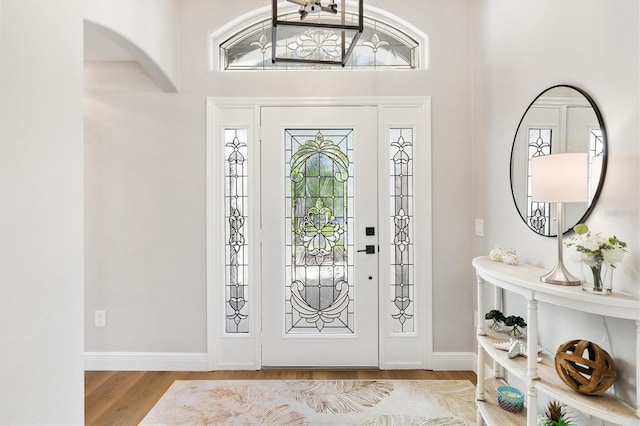 foyer with light wood-type flooring and plenty of natural light