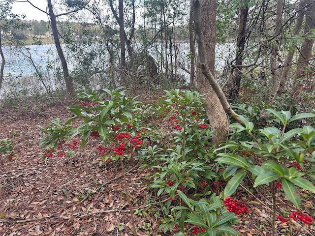 S Lake Hiawatha Dr, Lady Lake, FL 32159 - photo 3