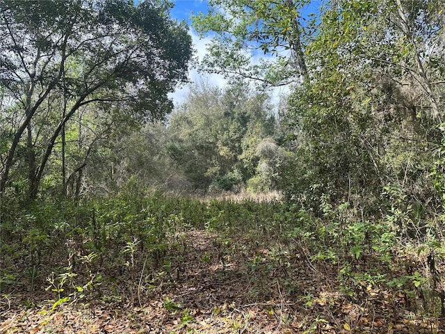 S Lake Hiawatha Dr, Lady Lake, FL 32159 - photo 6