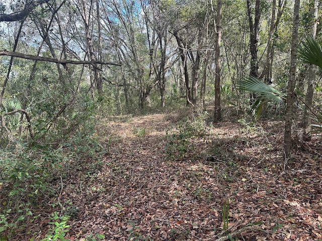 S Lake Hiawatha Dr, Lady Lake, FL 32159 - photo 7