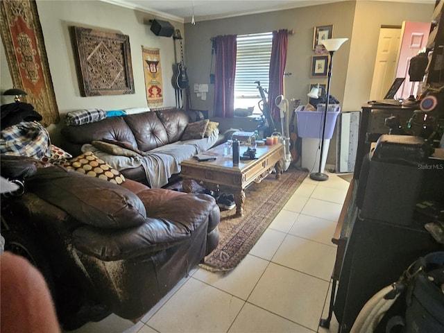 living area featuring crown molding and tile patterned floors