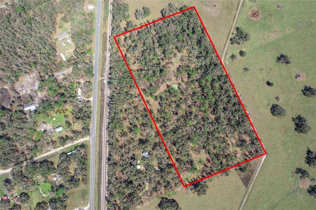 Listing photo 3 for TBD S US-301, Webster FL 33597