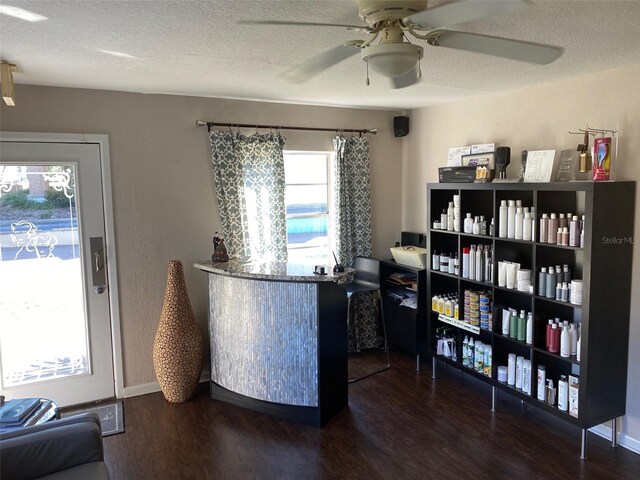 interior space with dark wood-style floors, a textured ceiling, baseboards, and a healthy amount of sunlight