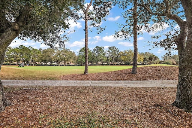 view of property's community with a yard