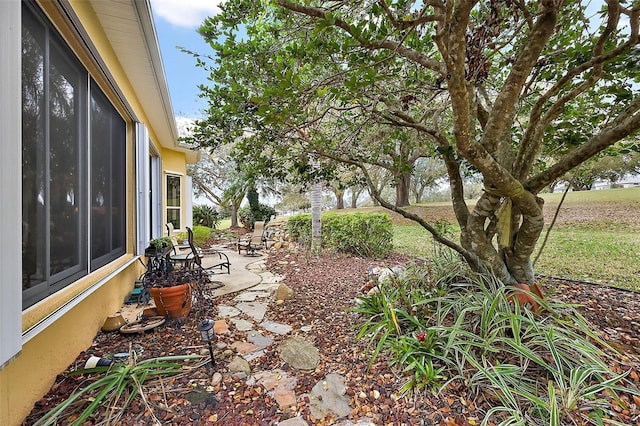 view of yard featuring a patio area