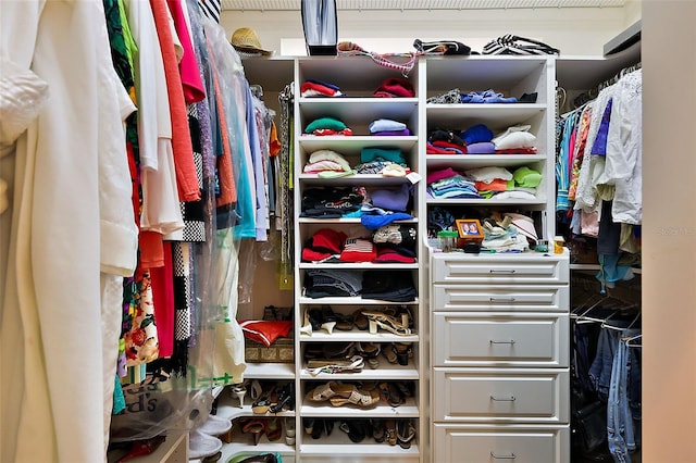 view of spacious closet