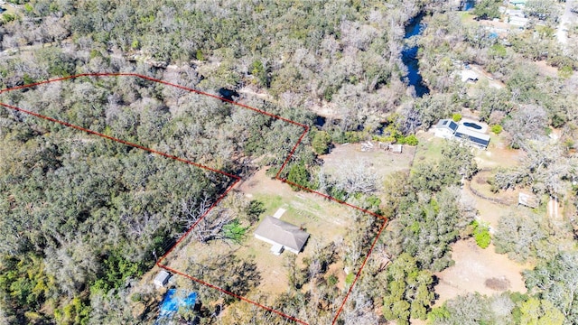33021 Ranch Rd, Dade City, FL 33523 - photo 46