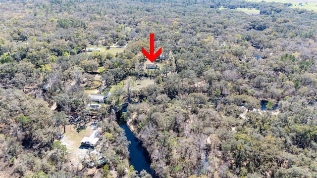 33021 Ranch Rd, Dade City, FL 33523 - photo 52