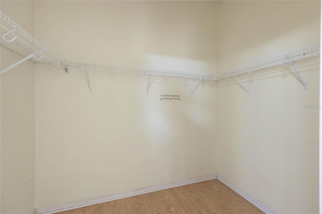 spacious closet featuring light wood-type flooring