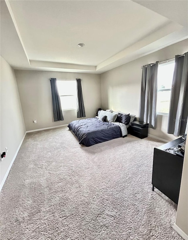 bedroom featuring carpet, a raised ceiling, and multiple windows