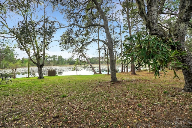 view of yard with a water view