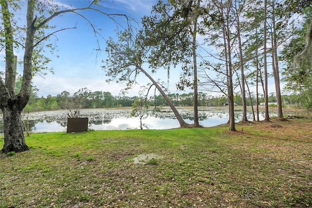 property view of water