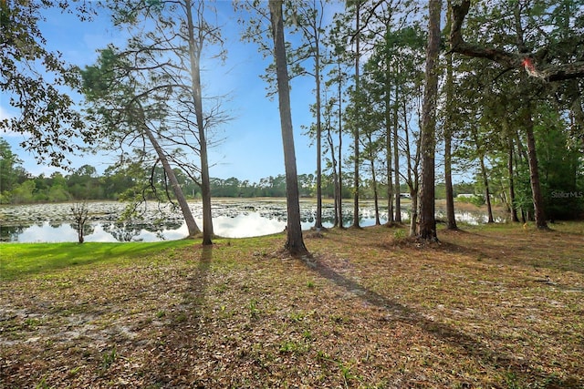 view of yard featuring a water view