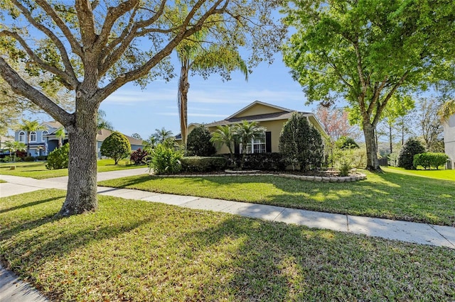 view of property hidden behind natural elements featuring a front lawn and stucco siding