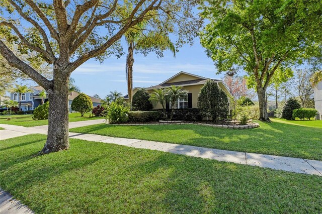 view of property hidden behind natural elements featuring a front lawn and stucco siding