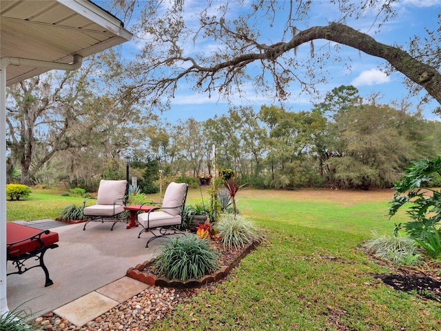 view of yard with a patio area