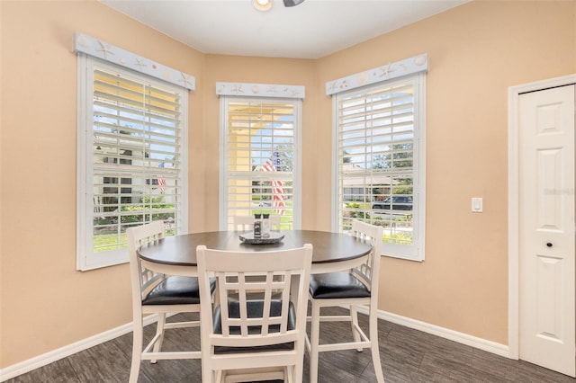 dining room featuring dark wood-style floors, a wealth of natural light, and baseboards