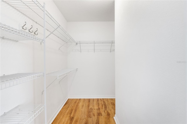 spacious closet featuring wood finished floors