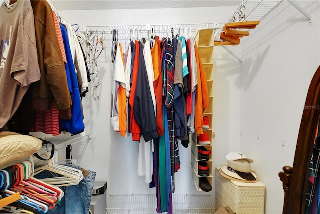 12338 S Putney Ct, Leesburg, FL 34788 - view of spacious closet