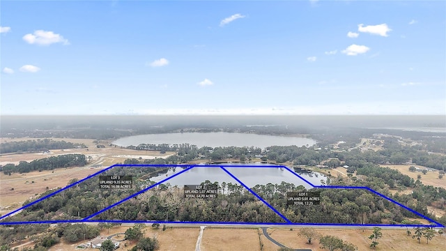 Wiygul Rd, Umatilla FL, 32784 land for sale