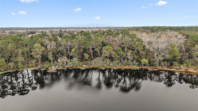 Listing photo 3 for Wiygul Rd, Umatilla FL 32784