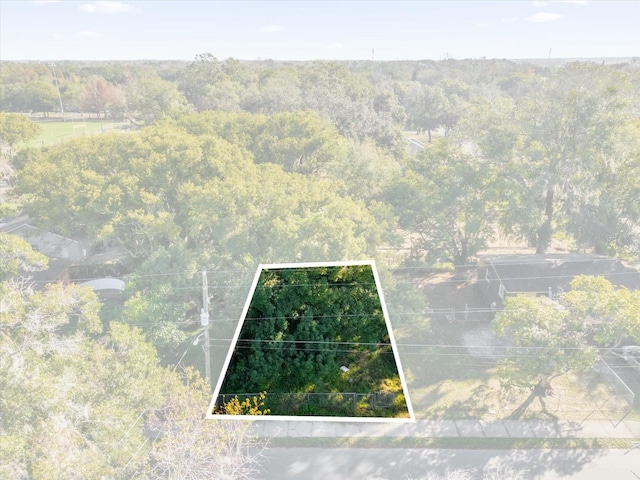 aerial view with a view of trees