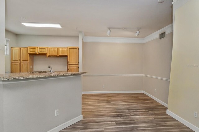 3368 Parkchester Square Blvd Unit 104, Orlando, FL 32835 - kitchen featuring rail lighting, baseboards, dark wood-style floors, light stone counters, and crown molding